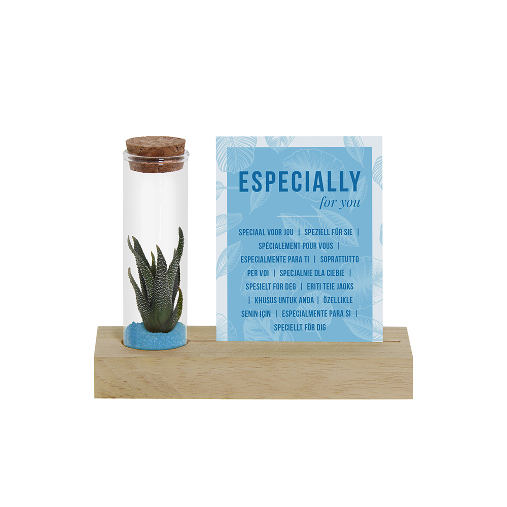 Tiny Treasurez® - Cardholder & tube - hellblau