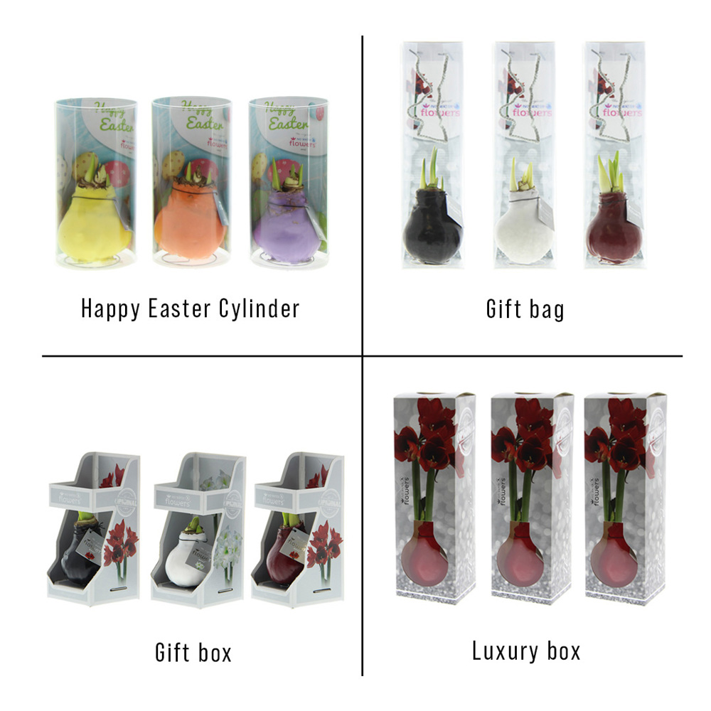 No Water Flowers® - Wrapz Easter mix, In Geschenkbox