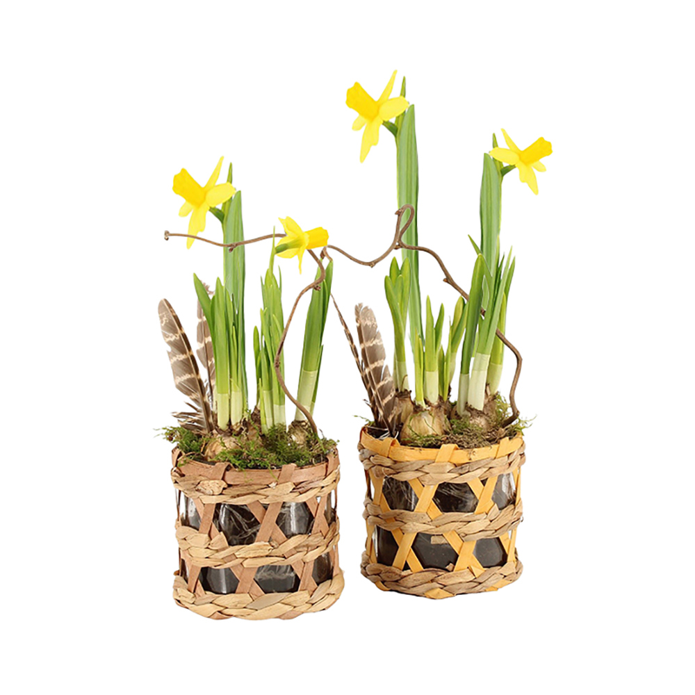 Easter wicker basket medium - Narzisse