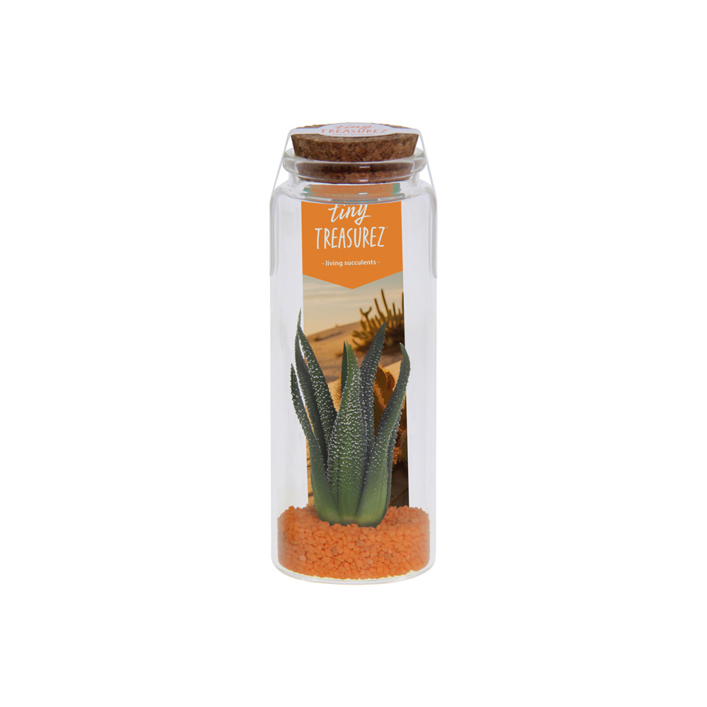 Tiny Treasurez® - Message in a bottle large - Orange