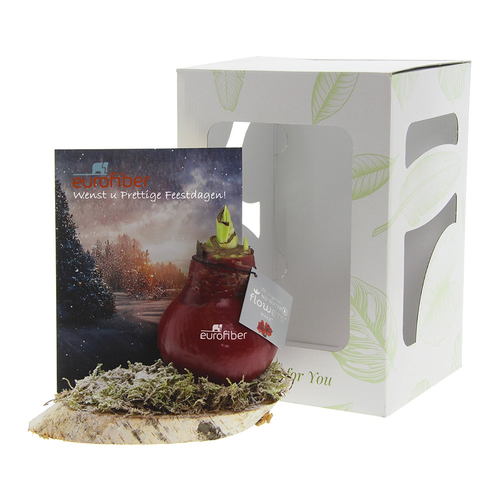 No Water Flowers® - Waxz® on wood, Ohne Verpackung, Silber