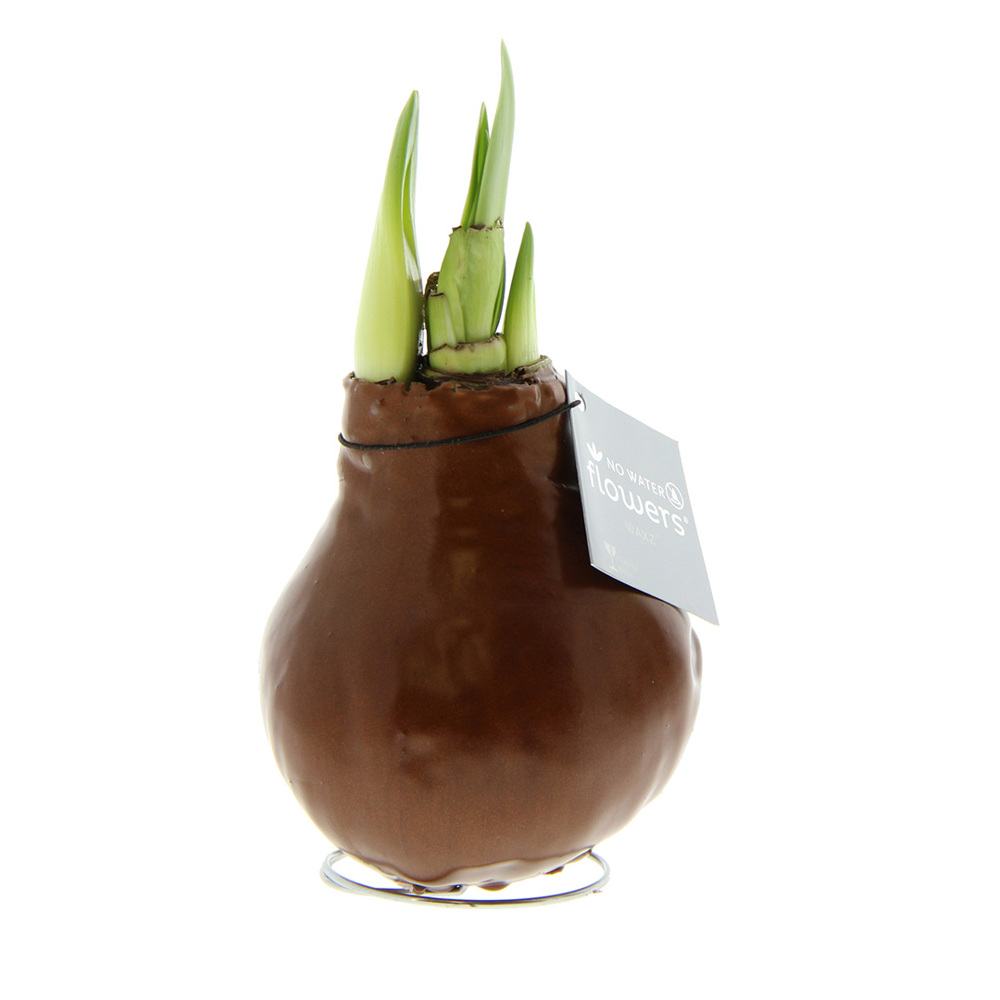 No Water Flowers® - Waxz® Colours - kupfer