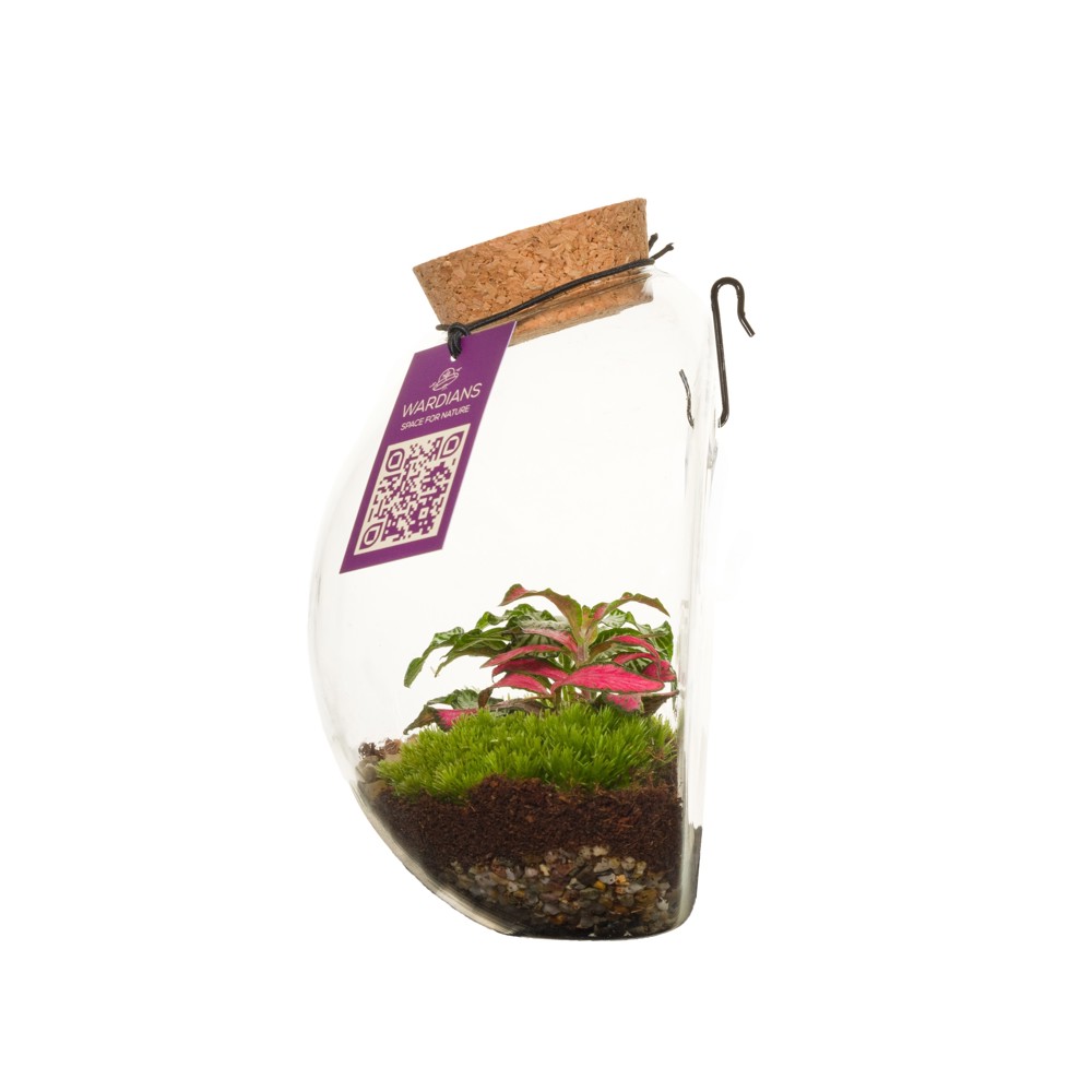 Wardians® Ecosystem - Wall hanger small, Ohne Verpackung