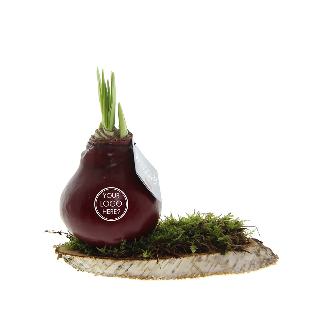 No Water Flowers® - Waxz® on wood, Ohne Verpackung, Silber