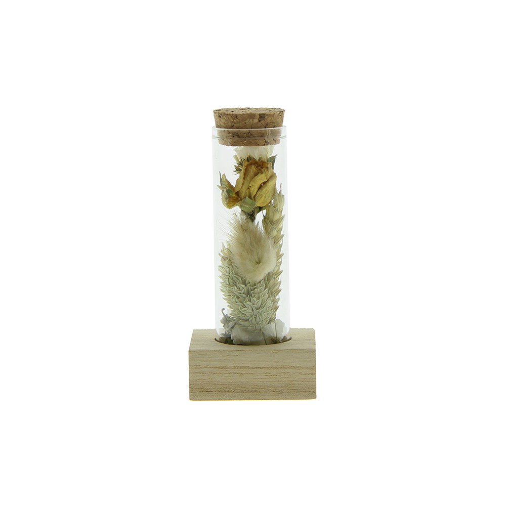 Dried Flowers - Single tube & wood - Natürlich