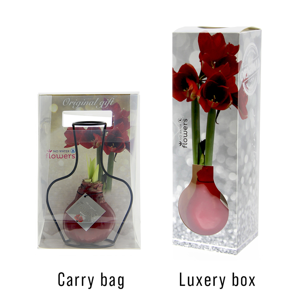 No Water Flowers® - Formz classic, In einer Luxusbox, Silber