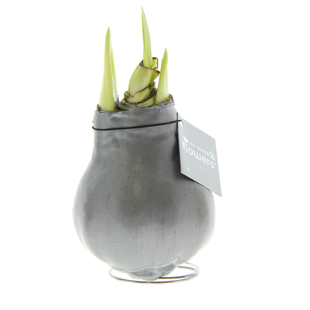 No Water Flowers® - Waxz® Colours - silber