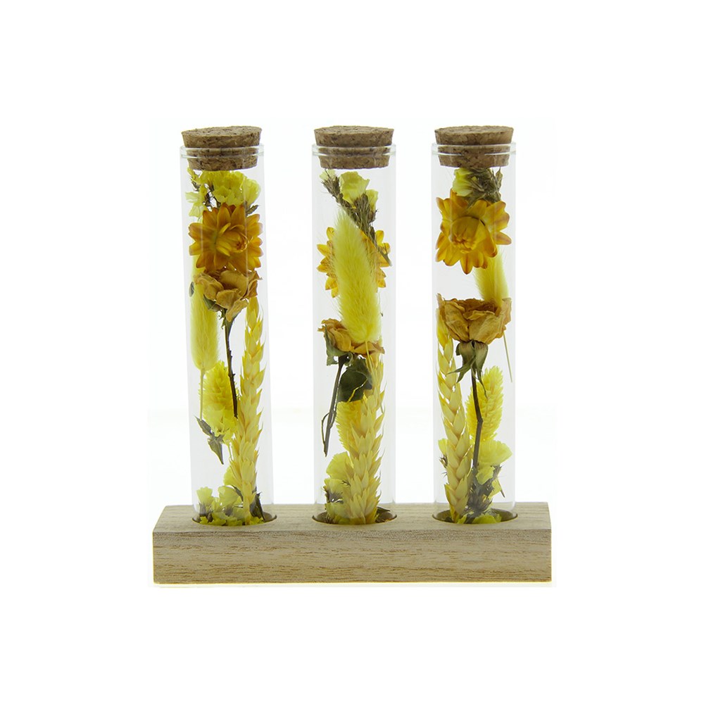 Dried Flowers - Trio tube & wood - Gelb