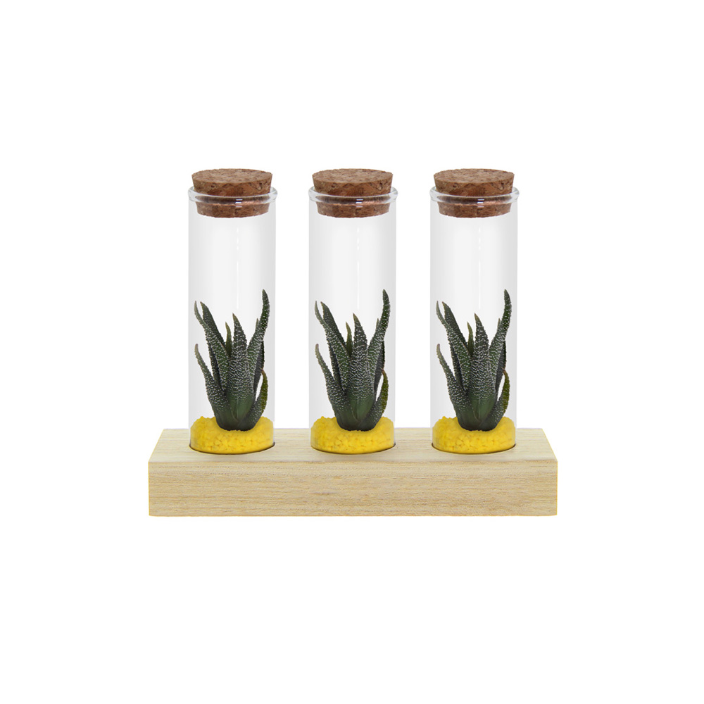 Tiny Treasurez® - Trio tube & wood - gelb