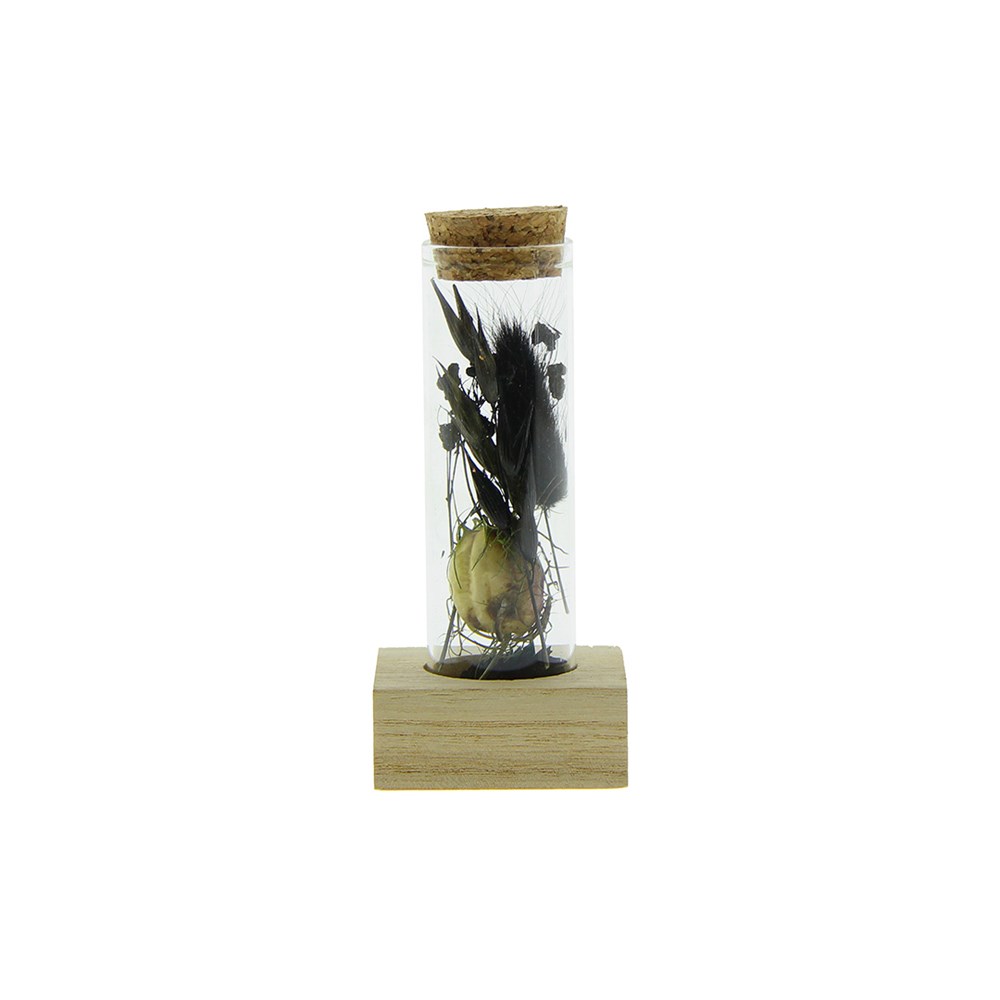 Dried Flowers - Single tube & wood - Schwarz
