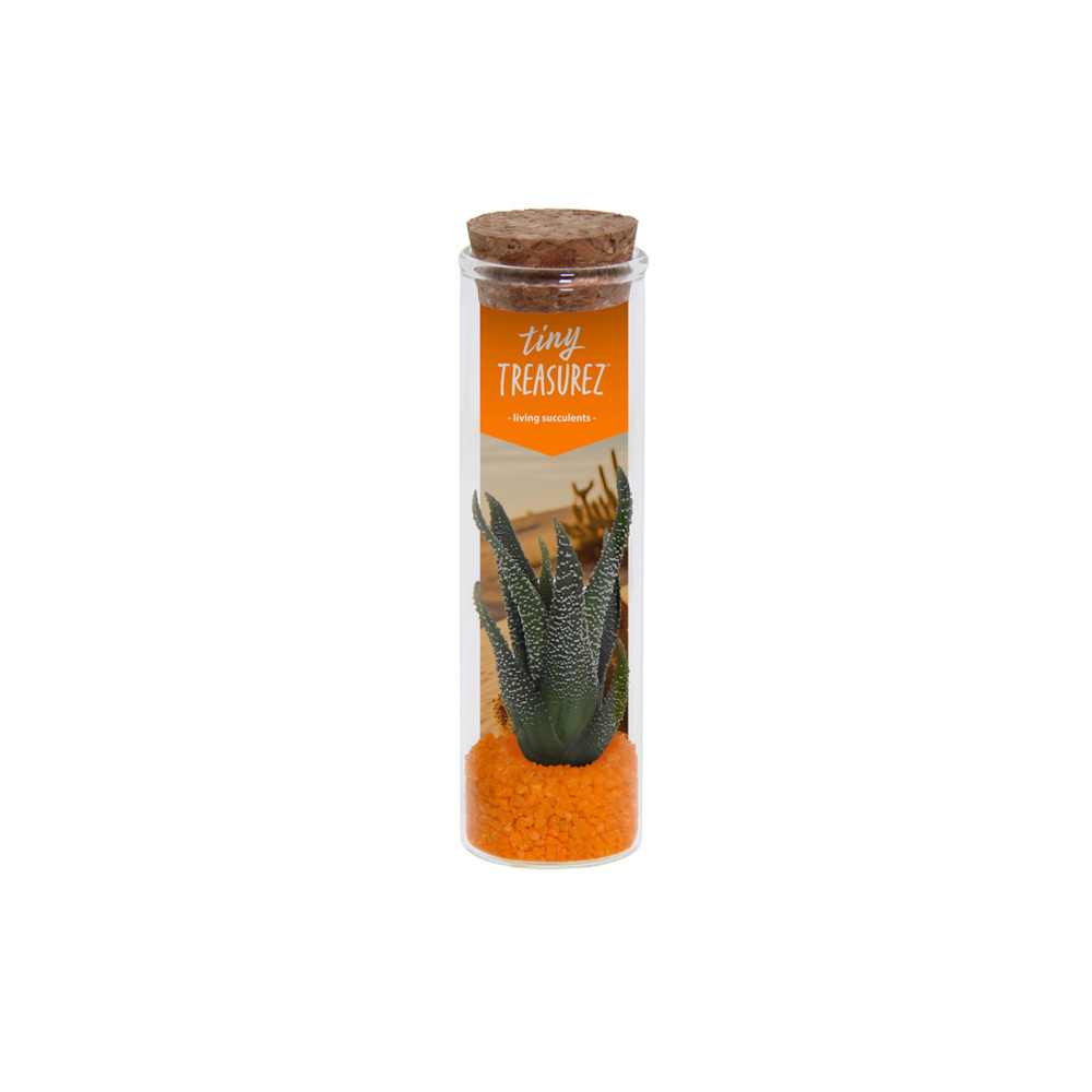 Tiny Treasurez® - Message in a bottle small - orange