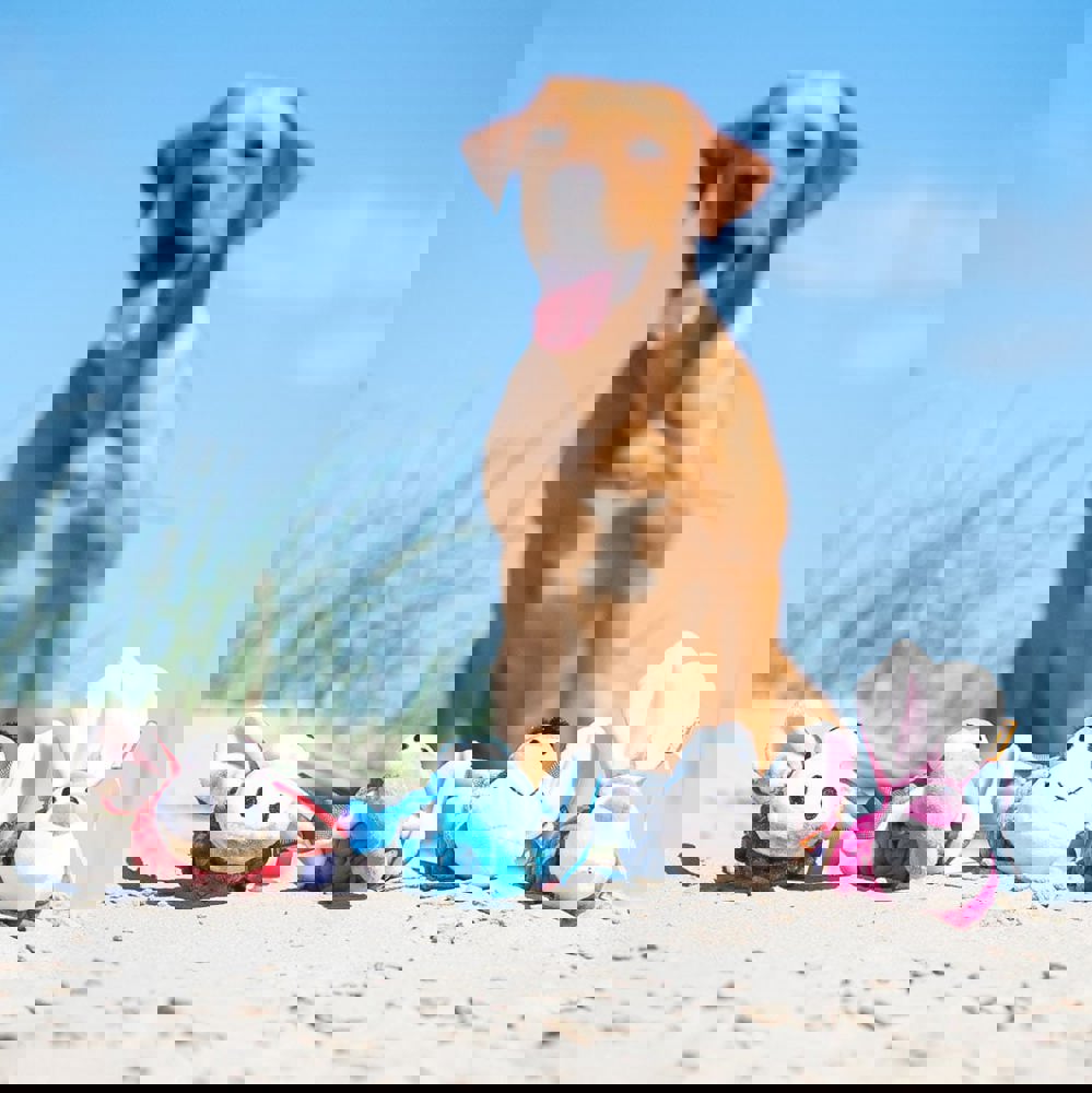 Hundespielzeug Knotentier Elefant, blau, one size