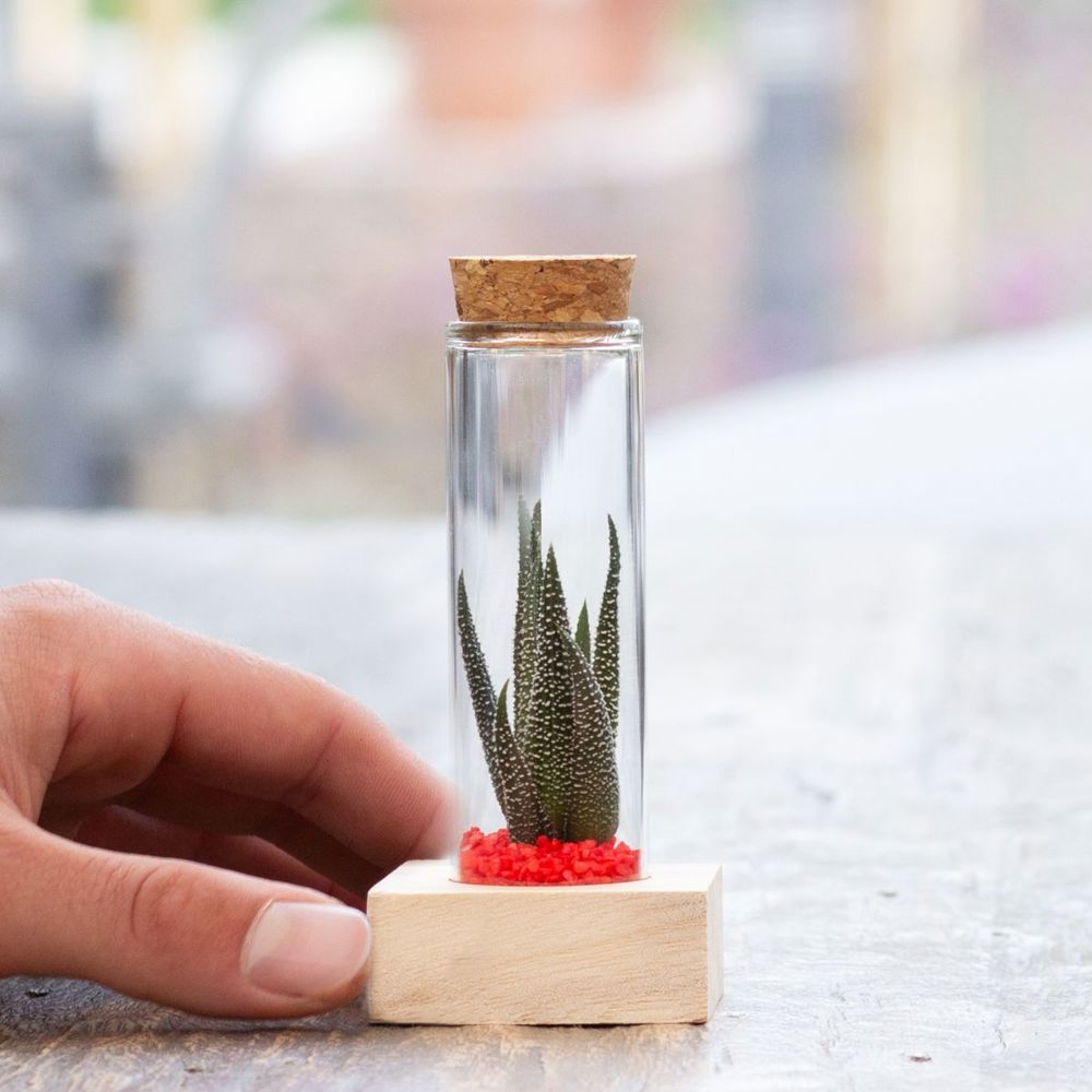 Tiny Treasurez® - Single tube & wood, Blau