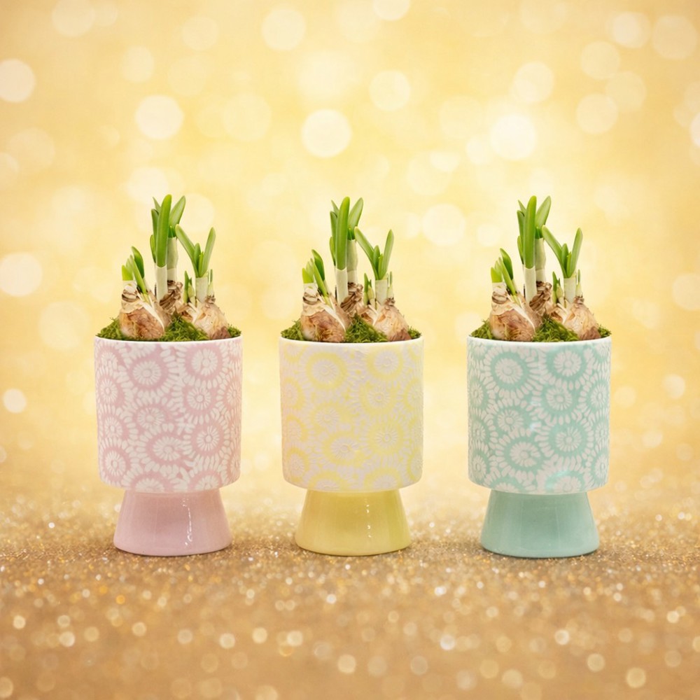 Easter colourful chicken medium - Narzisse, Ohne Verpackung