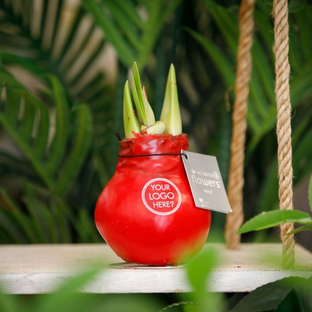 No Water Flowers® - Waxz® Colours, In einer Luxusbox, Silber